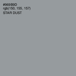 #969B9D - Star Dust Color Image
